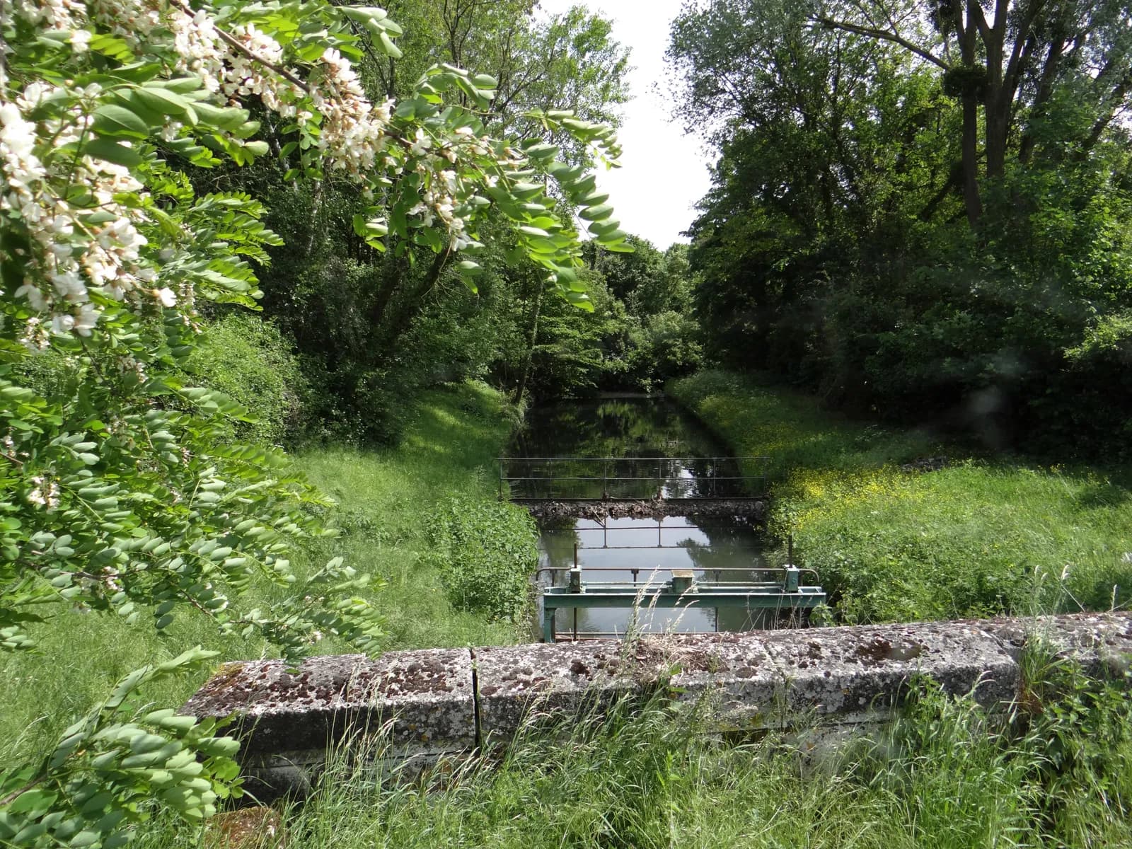 Vue de Brou-sur-Chantereine