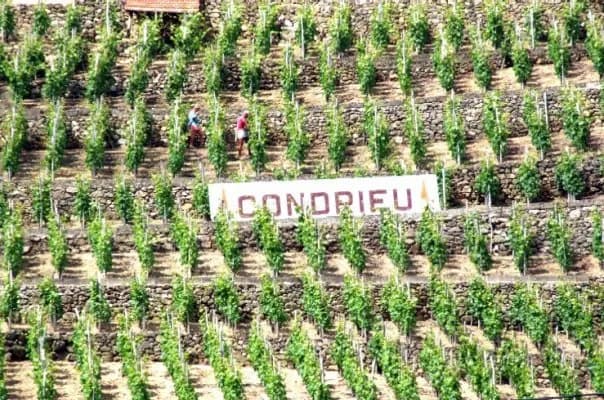 Vue de Condrieu