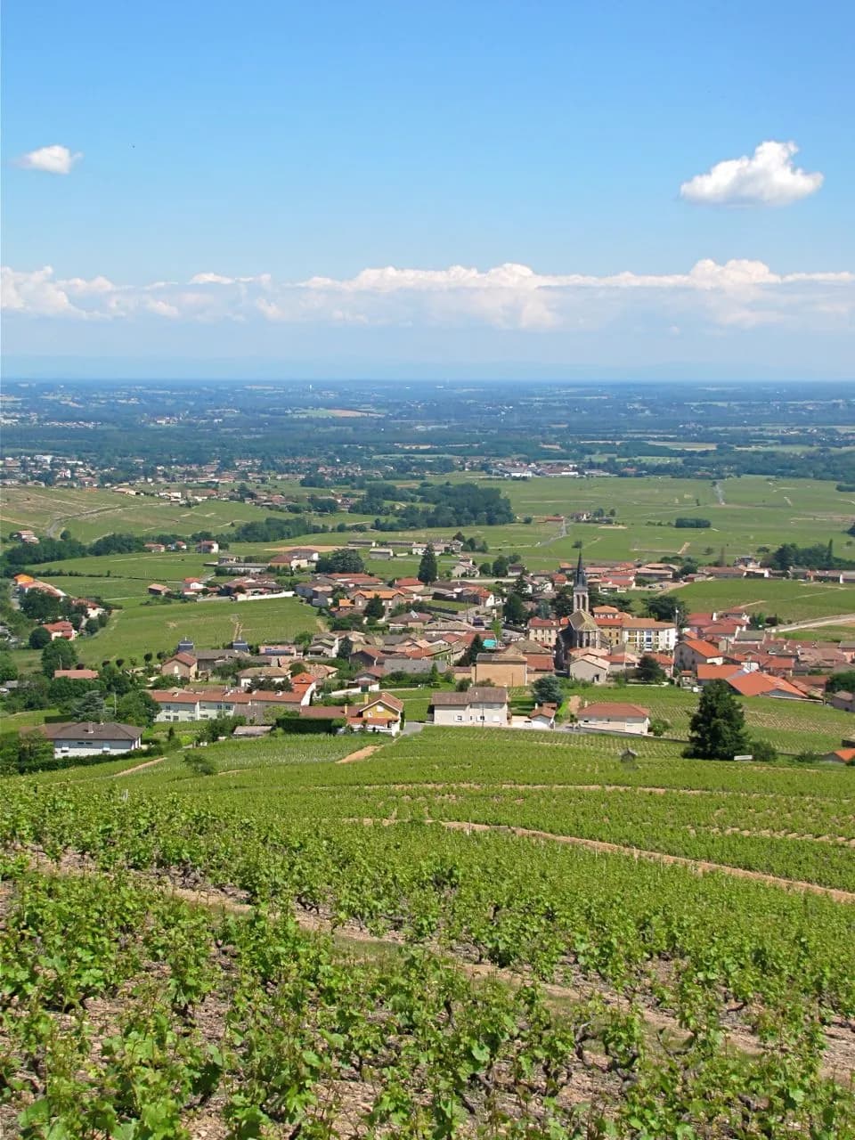 Vue de Fleurie